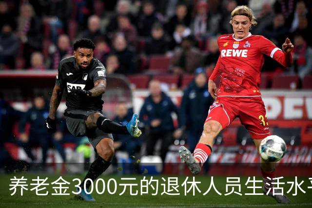 养老金3000元的退休人员生活水平分析