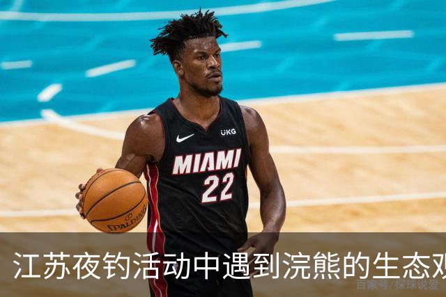 江苏夜钓活动中遇到浣熊的生态观察与风险评估